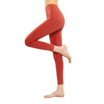 China Women Thermal Winter Underwear Solid Color Dralon Thermal Wadding Mid Waist Long Johns Warm Antibacterial Seamless Gaiters for sale