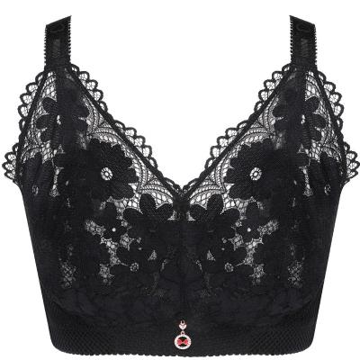 China New arrival U back QUICK DRY plus size bralette sponge lace embroidery wire free thin fitting sexy bra for women for sale