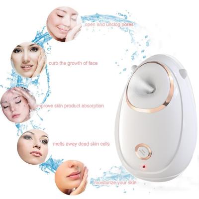 China Ionic Home Nano Facial Steamer Machine Portable Humidifier Nourishing Facial Steamer for sale