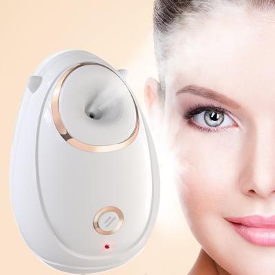 China Nourishing Hot Water 85ml Personal Care Whole Equipment Beauty Sale Mini Facial Nano Steamer for sale