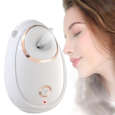 China Mister Mini Hot Wholesale Nano Smart Facial Spa Nourishing Cold Steamer Manufacturer for sale