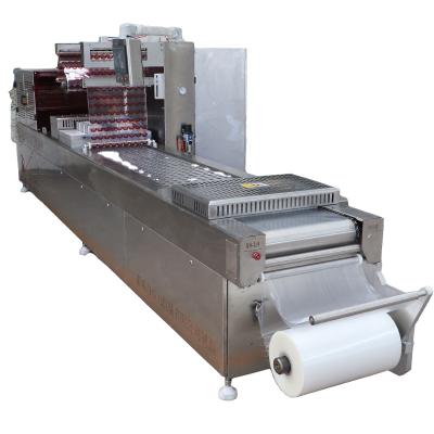 China Food Sell Well New Type Industrial Vacuum Packing Vacuum Packing Machine for sale