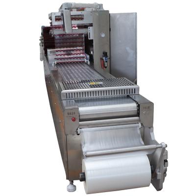 China Cheap Food Custom Packaging Machine Hot Selling Portable Hot Selling Vacuum Sealer Machine for sale