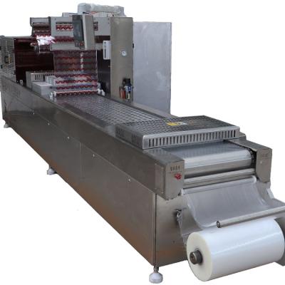 China Hot Price New Type Table Style Peel Desktop Food Thermo Vacuum Packing Machines for sale