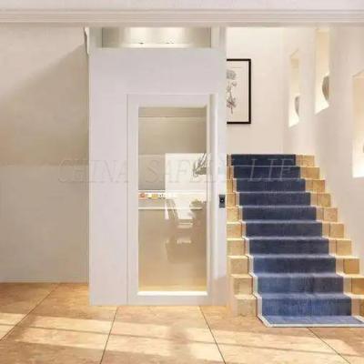 China Modern Home Elevator Indoor Outdoor Vertical Domestic Elevator Price for sale