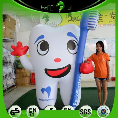 China Promotion Customized Inflatable Inflatable Tooth Toys PVC Inflatable Model Advertising for sale