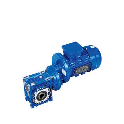 China Hot Sale Food Worm Gearbox Reducer With Electric Motor for sale