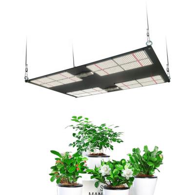 China Maaadro Hot Selling Seed Starting Lights and Lighting 600W Led Grow Light, Lamp Led Fast Growing Gardens for sale