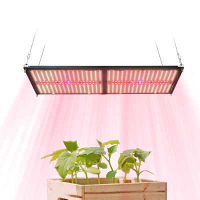 China Seed starting Maaadro 240W Samsung lm301h 288 meijiu v3 board led horticulture grow lights , led grow light 301b for sale