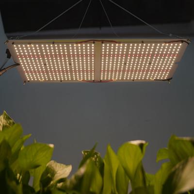 China Seed Starting Maaadro LED Grow Light Panel 240w Samsung lm301h IP65 High Quality Waterproof LED Grow Lamp for sale