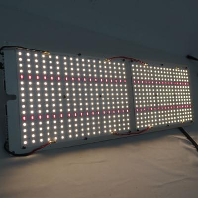 China Seed starting factory dimmable grow 240W led panel waterproof samsung meijiu diode lm301h 301b 240W LED grow light for sale