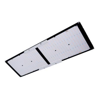 China Seed starting Maaadro panels 240w Samsung lm301h 3500k lm301b qb288 led lights wire hood led grow light with 660nm red for sale