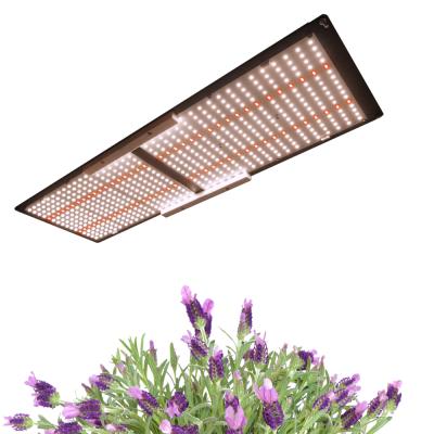 China Seed Starting Maaadro Samsung Chip LM 301h 301b Grow Box 3500k Mix 660nm 240w Indoor Planting Led Grow Light For Veg Planting for sale