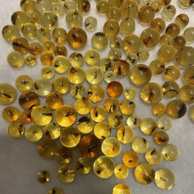 China DIY Jewelry Making 10-14+mm Amber Gemstone Beads Gold With Insect Baltic Amber Natural Stone Beads for sale