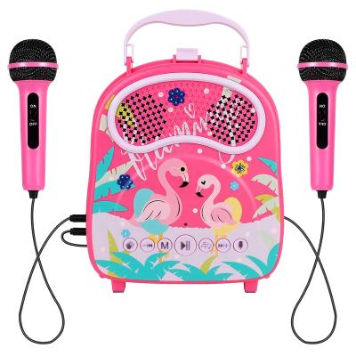 China Eco-friendly Wholesale Battery Operated Ktv Wired Microphone Toys Karaoke Toy Music Toy For Kids Educational Gifts Best Selling Product for sale