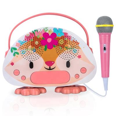 China Battery Operated Toy Private Model Speaker Karaoke Musical Instruments Karaoke System Machine With Mic for sale