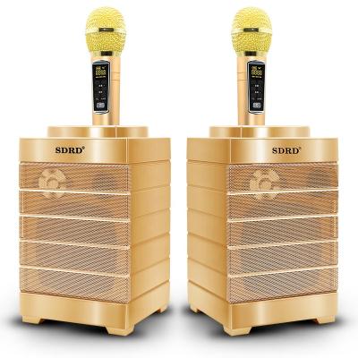 China High Quality Eco-friendly Rechargeable Portable Karaoke Speaker Machine BT Handheld Speakers With Dual Microphones for sale