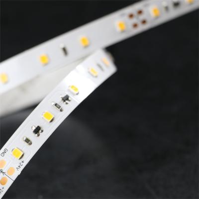 China High Lumen Ra90 SMD2835 LED Strip DC24V EFFI WHT 5000K Color for sale