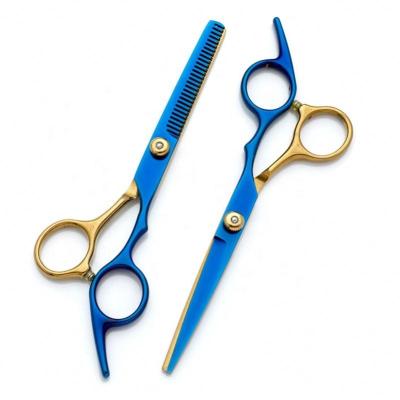 China 6.0 Inch New Fashion Design Beauty Barber Scissors Flat Scissors Tooth Hair Thinning Scissors Black-Blue for sale