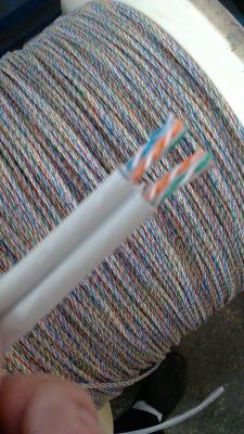 China Dual cable Cat6 UTP/FTP 0.56 BC LSZH/PVC for sale