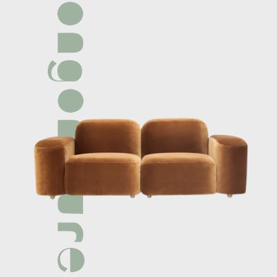 China Soft Two Seats Modular Soft Sofa Sofa Italian Nordic European Luxury Corner Fabric Instagram Sofa Removable Stool Sofa for sale