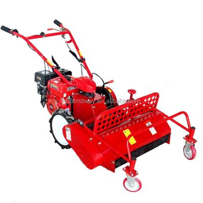 China 4-Stroke Hand Push Lawn Mower High Quality Small Hand Held Lawn Mower Hand - Pushed Mower for sale