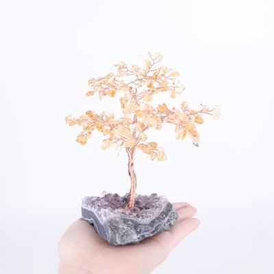 China Hot Selling Natural Stone Lucky Tree Money Tree For Home Decorations China Crystal Amethyst Cluster Base Quartz for sale