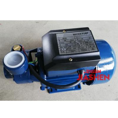 China Automotive Industry Gray Cast Iron Peripheral Vortex Pump, QB60 Bomba, 110v 60Hz for sale