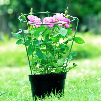 China Easily Assembled Plastic Climbing Frame Flower Support Stake Tender Plant Nursery Greenhouse Support Pole Garden Support Work Daily for sale