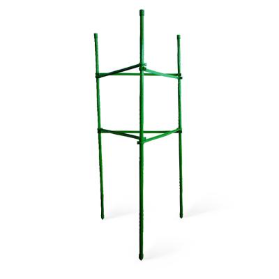 China Eco-friendly 3 Rings Flower Support Garden Plant Stick Cage Assemble Collapsible Cages Using 42 Inch Tomato for sale