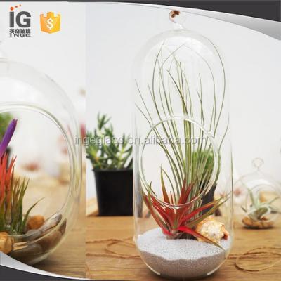 China Home Decor Benincasa Hispida Mini Greenhouse Pod, Mini Air Plant Glass Greenhouse, Glass Planter for sale