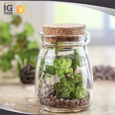 China Home decor mini round glass greenhouse with corks for sale for sale