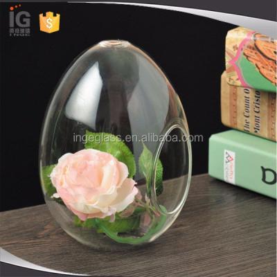 China Chinese egg shaped glass mini-greenhouses for home decor for sale