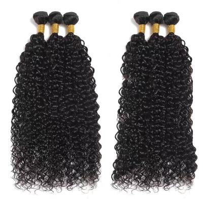 China Original Pure Natural Burmese Curly Hair Bundles Hot Sale Jerry Curly Indian Virgin Human Hair Deep Curly Kinky Curly Hair for sale