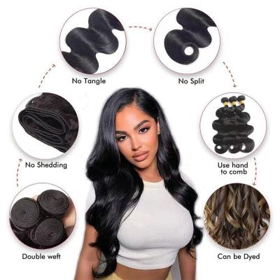 China Curly Curly Free Sample Raw Virgin Cuticle Aligned Hair , Human Virgin Hair Wholesale Raw Brazilian Virgin Hair Vendor for sale