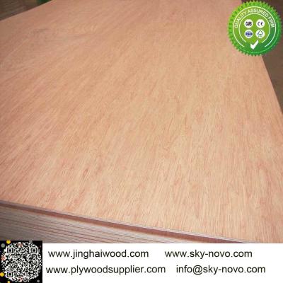 China 5.2mm bintangor face /red hardwood face plywood for sale