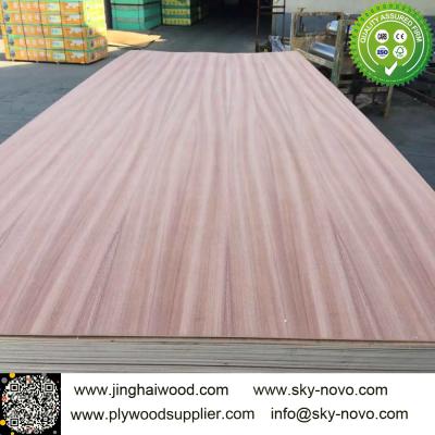 China sapele  plywood for sale