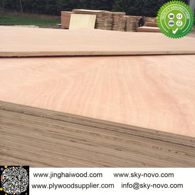 China rotary sapele veneer furniture plywood for sale