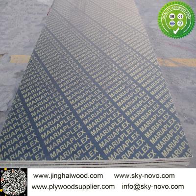 China Brown film face plywood with logos for sale