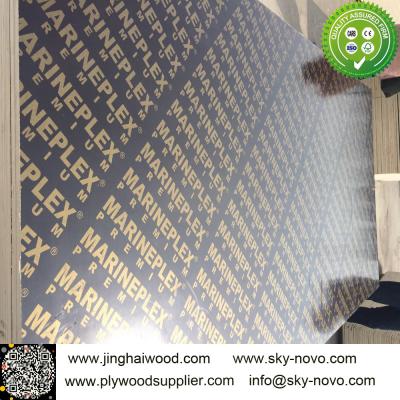 China Black film faced plywood /formwork/shuttering boards for sale