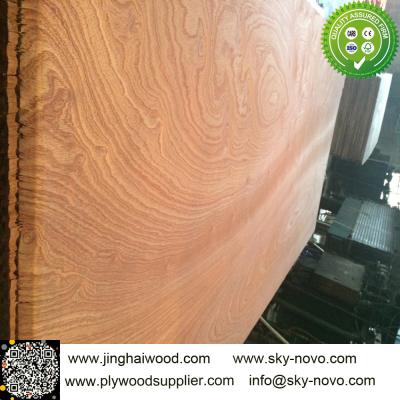 China Sapele/sapelli plywood for sale