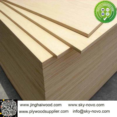 China Birch plywood for sale