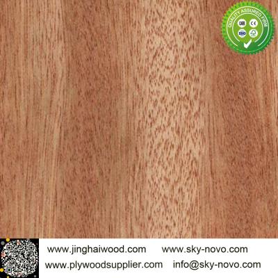 China Bintangor,oak,maple natrual veneer for sale