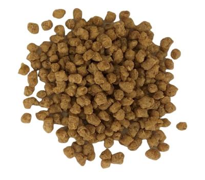 China Patty Baichuan Halal Meat Vegan Meat Textured Soy Protein 65% Based on High Protein Vegan Plant for sale