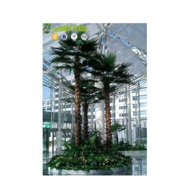 China Eco-Friendly Materials China Large Washington Artificial Palm Garden Home Decor Decoration for sale