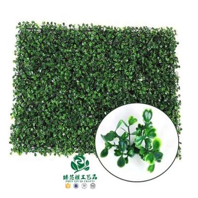 China Zhen Xin Qi Crafts 40*60cm Materials Zhen Xin Qi Crafts 40*60cm Plant Wall Fence Vertical Garden Panel Decorations Eco-friendly Artificial Foliage Hedge for sale