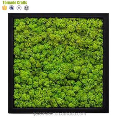 China Zhen Xin Qi Crafts New Style 3D Mini Moss Eco-friendly Plant Frame Wall Hanging Wooden Decoration for sale