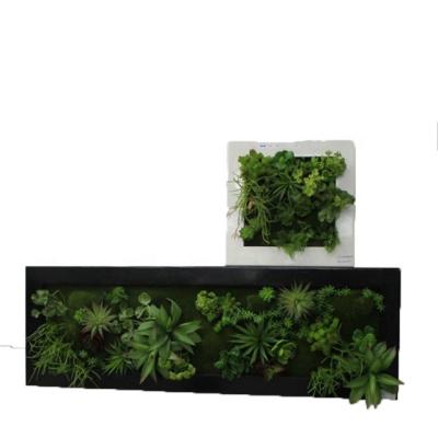 China 2017 Plants Waterproof Wall Mounted Artificial Succulent Wall Art Decor for sale