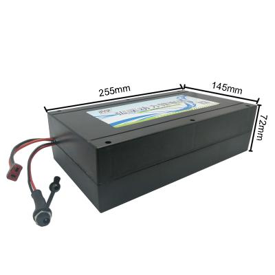 China Electric bicycle electric scooter battery special offer rechargeable scooter bike LiFePO4 lithium battery for sale