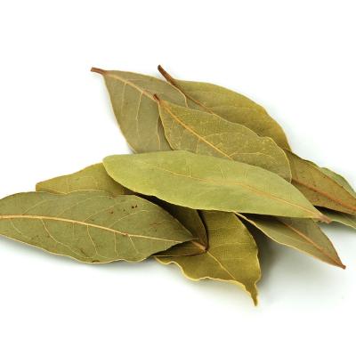 China Pure Natural Material Hot Sale High Quality Herbs Spices Dried Berry Leaves Dried Berry Leaves for sale